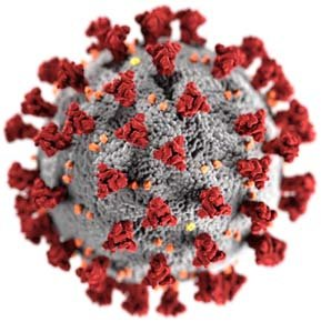 Nuevo Estudio del Proteoma del Coronavirus