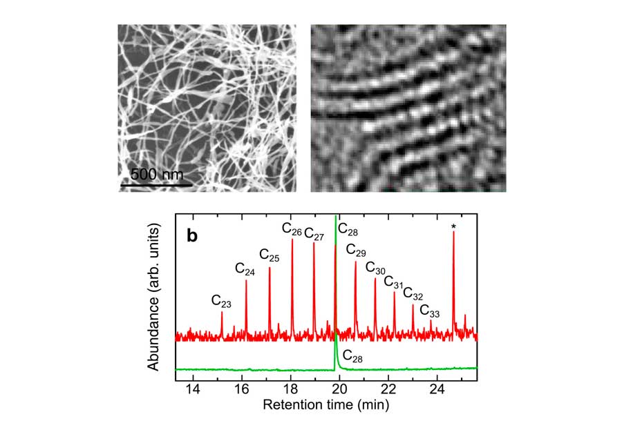 Metal-catalyst-free gas-phase synthesis of long-chain hydrocarbons