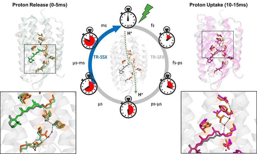 Review article on serial crystallography at synchrotron radiation sources in Crystals