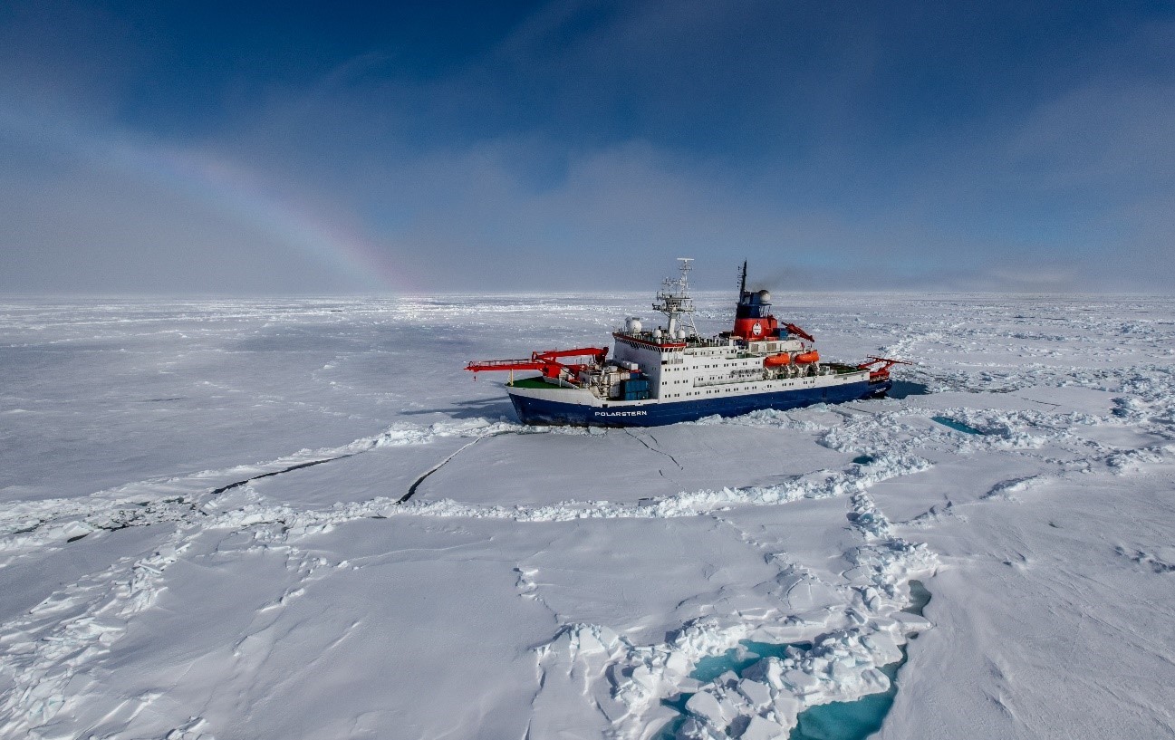 Substantial contribution of iodine to Arctic ozone destruction