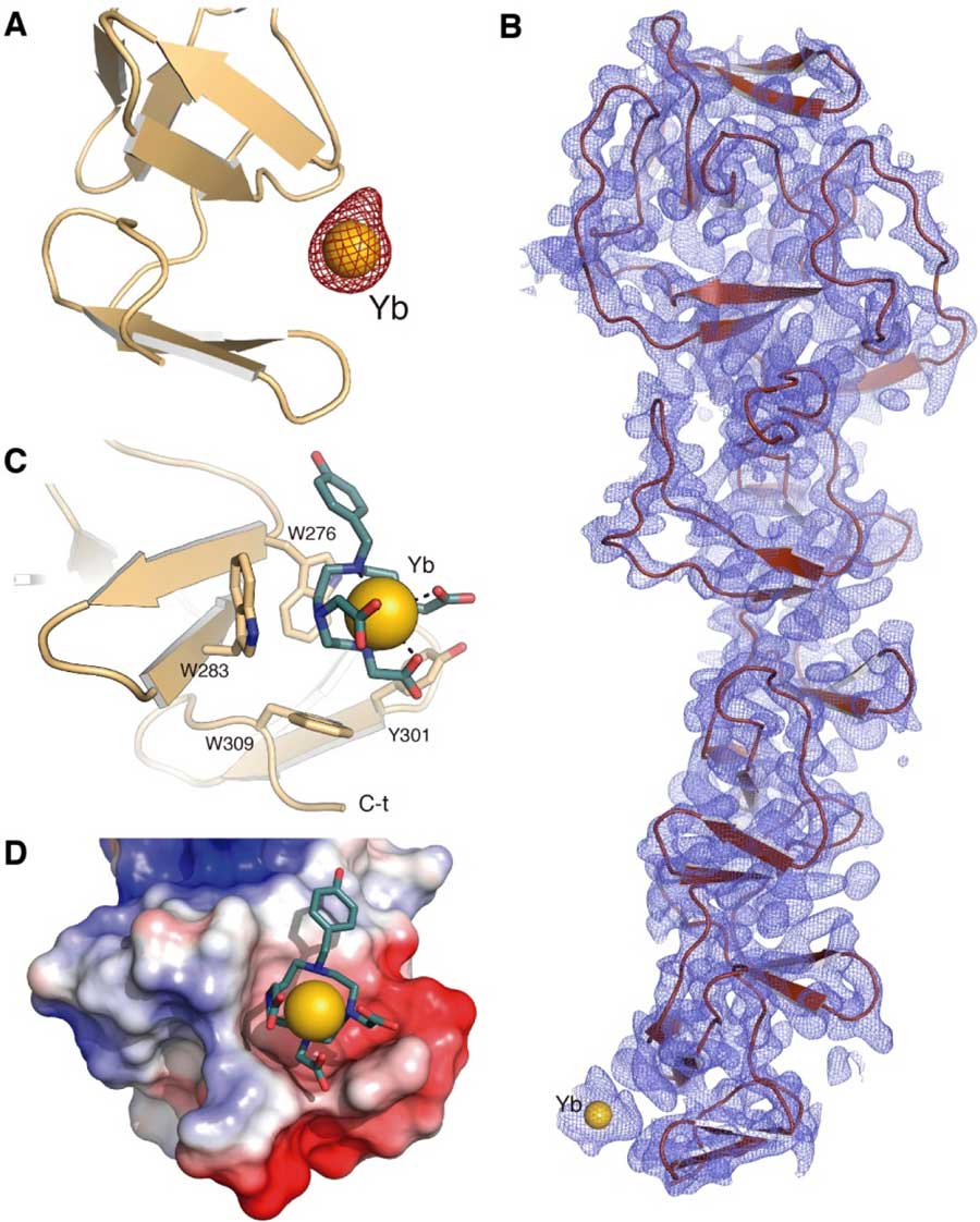 Caracterización de una nueva molécula para la resolución estructural de proteínas de novo